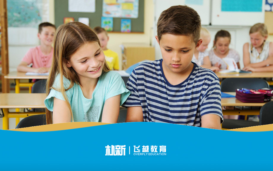 樸新教育_網(wǎng)站建設(shè)，教育培訓(xùn)機(jī)構(gòu)網(wǎng)站，學(xué)校官網(wǎng)