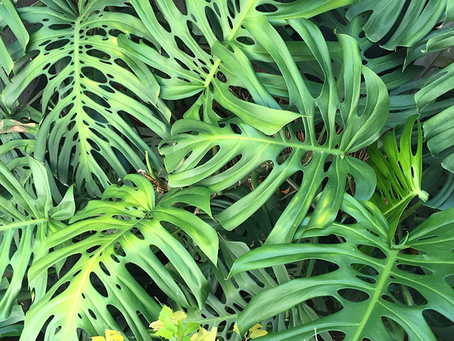 如何設(shè)計(jì)好一個(gè)品牌網(wǎng)站